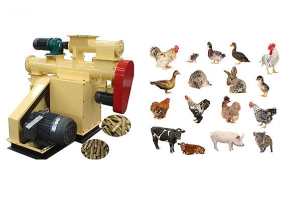 Chicken Pellet Machine